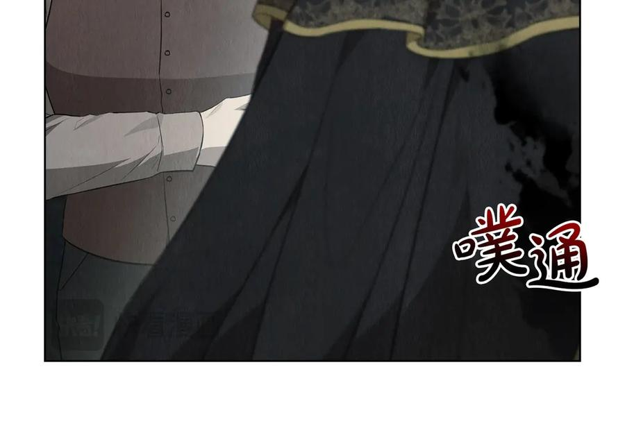 第26话 斯万的记录 第248页
