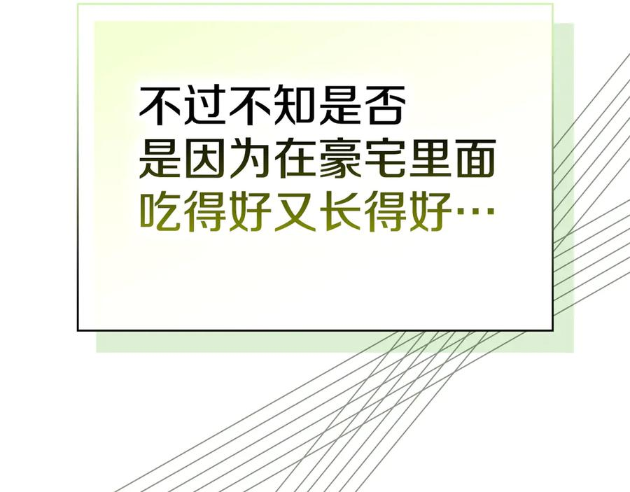 第34话 难道我喜欢她 第120页