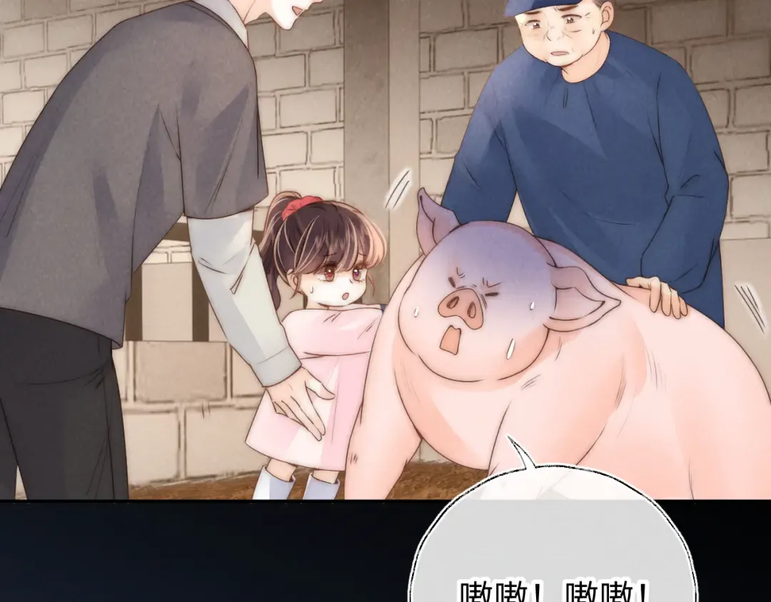 第21话 助力猪妈妈生崽崽 第6页