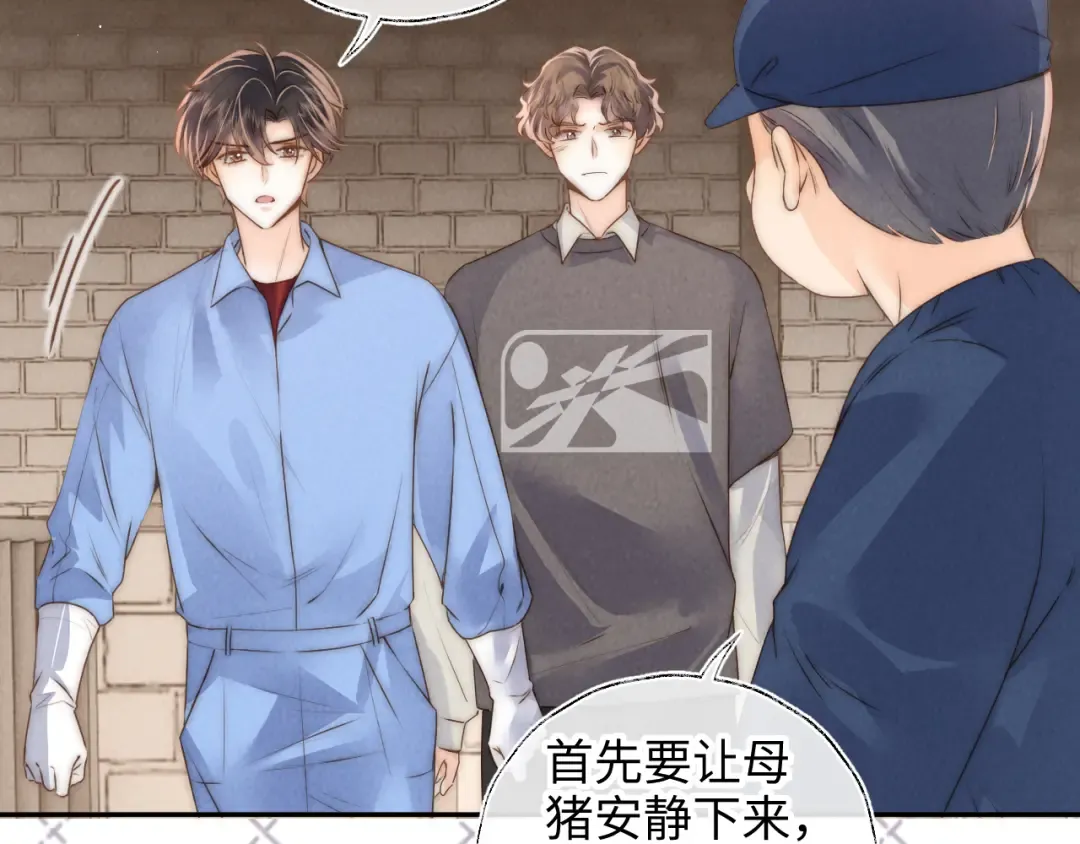 第21话 助力猪妈妈生崽崽 第10页