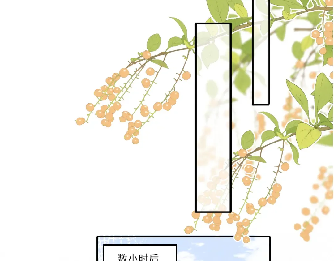 第21话 助力猪妈妈生崽崽 第85页