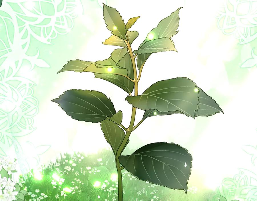 第6话 做药给妈妈 第39页