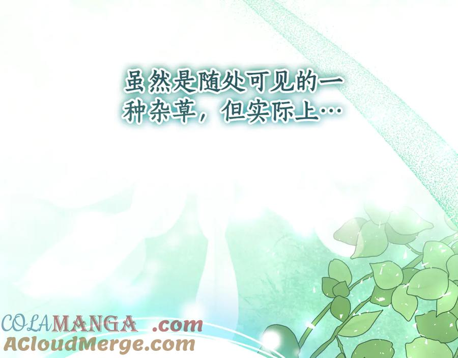 第6话 做药给妈妈 第41页