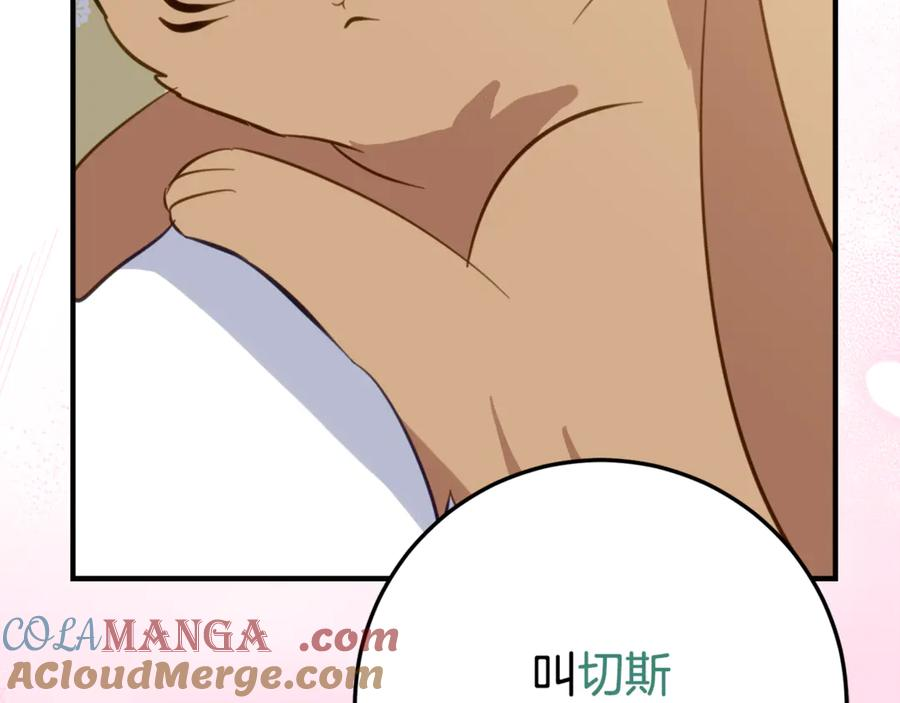 第29话 签合同 第121页