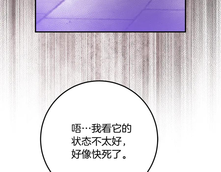 第20话 崽崽砍价 第132页
