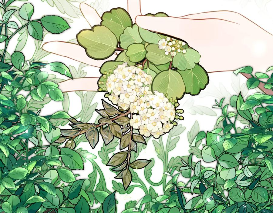 第22话 前往北部 第16页