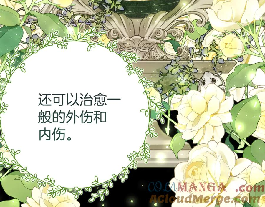 第22话 前往北部 第21页