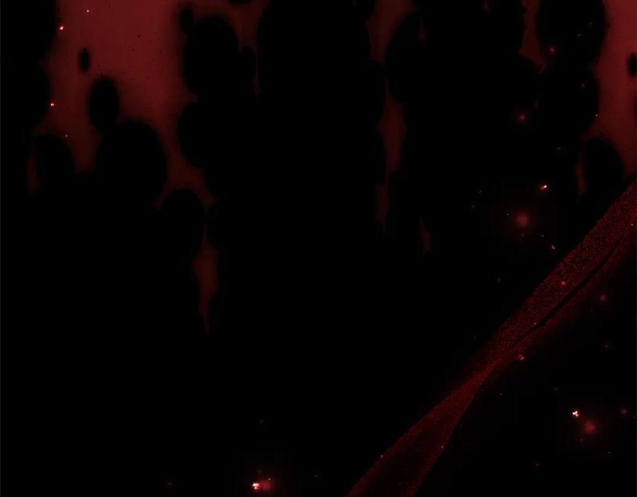 第49话 空虚恶魔 第131页