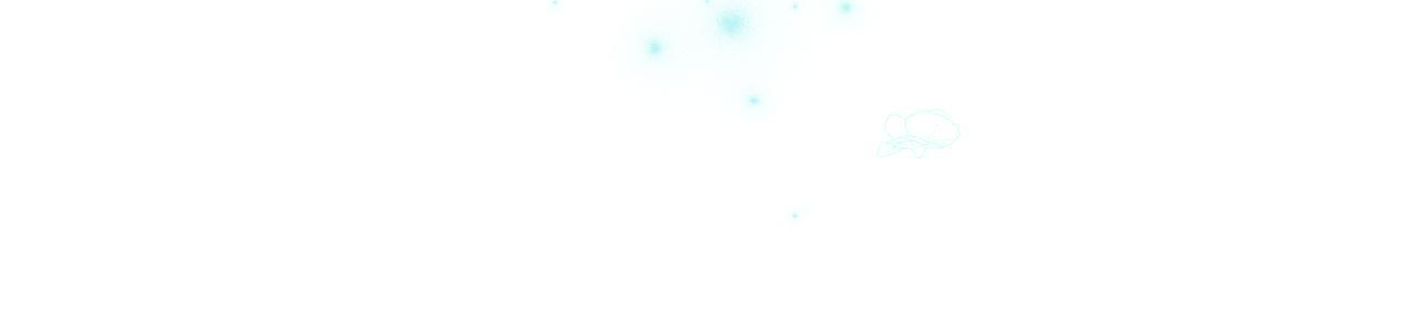 第二季 完结话 空虚开始行动 第27页