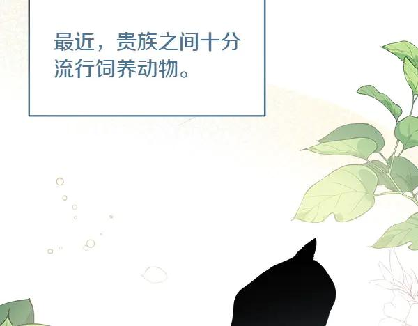 第3话 挑选宠物 第16页