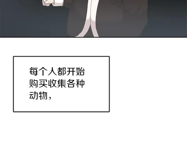 第3话 挑选宠物 第20页