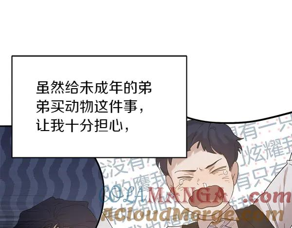 第3话 挑选宠物 第25页