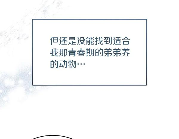 第3话 挑选宠物 第31页