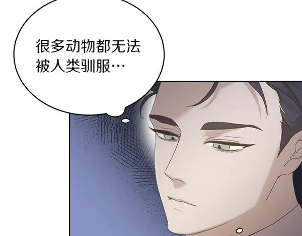 第3话 挑选宠物 第32页