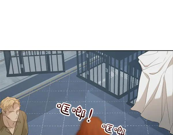 第3话 挑选宠物 第35页
