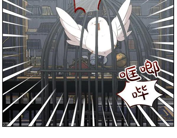 第3话 挑选宠物 第66页