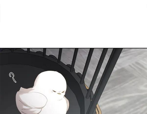 第3话 挑选宠物 第67页