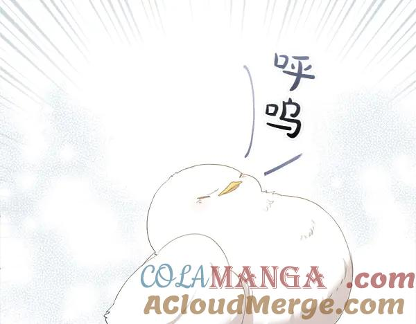 第3话 挑选宠物 第69页