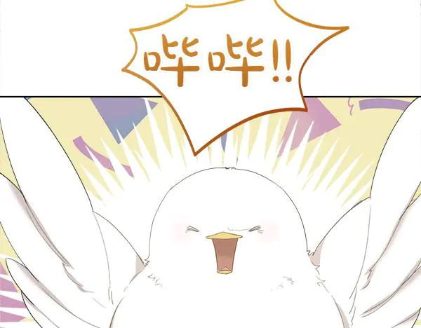 第3话 挑选宠物 第71页
