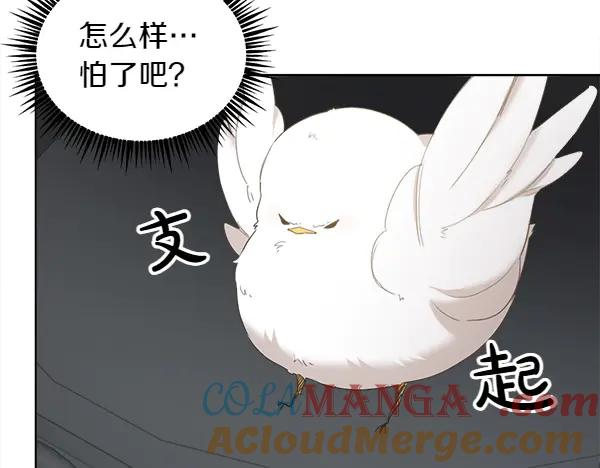 第3话 挑选宠物 第73页