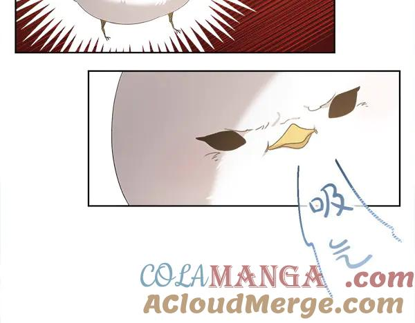 第3话 挑选宠物 第81页