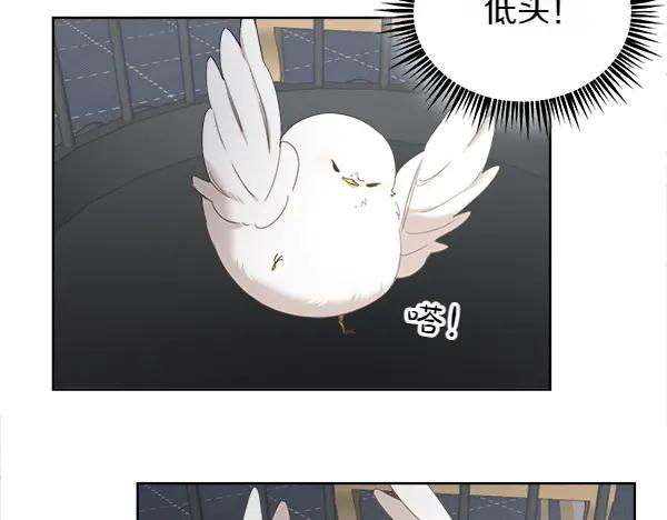 第3话 挑选宠物 第87页