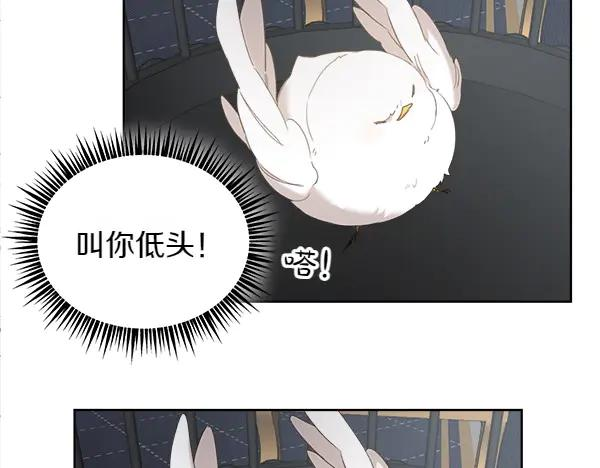 第3话 挑选宠物 第88页
