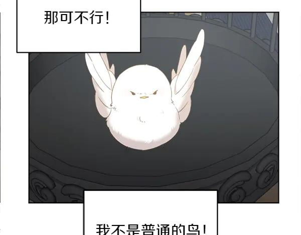 第3话 挑选宠物 第92页