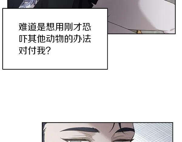 第3话 挑选宠物 第95页
