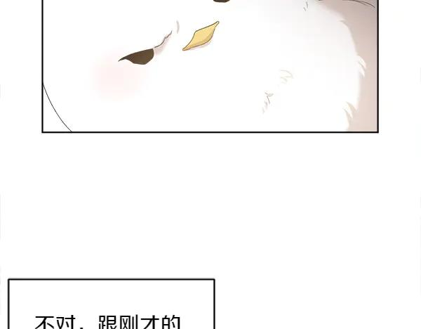 第3话 挑选宠物 第98页