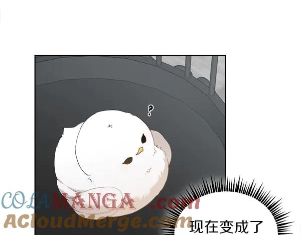 第3话 挑选宠物 第101页