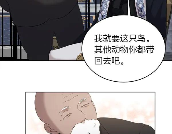 第3话 挑选宠物 第111页