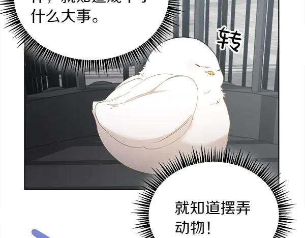 第3话 挑选宠物 第114页