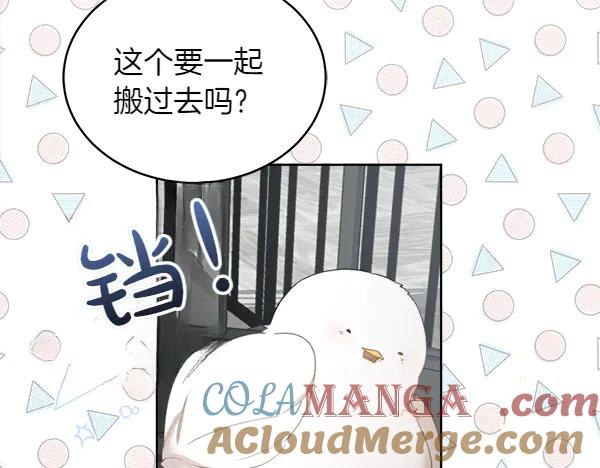 第3话 挑选宠物 第117页