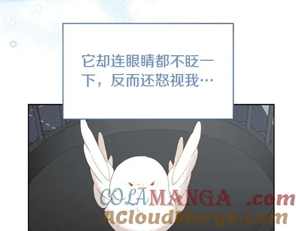 第4话 留下那只鸟 第13页