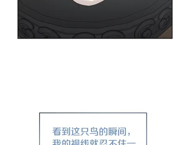 第4话 留下那只鸟 第14页