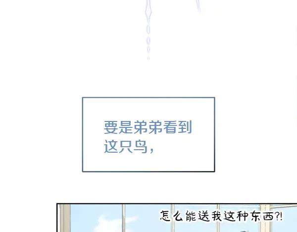 第4话 留下那只鸟 第18页