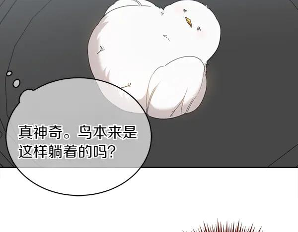 第4话 留下那只鸟 第34页