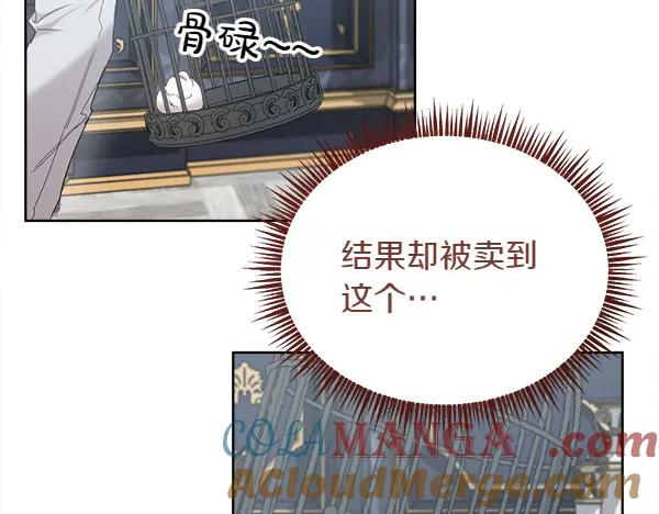 第4话 留下那只鸟 第37页