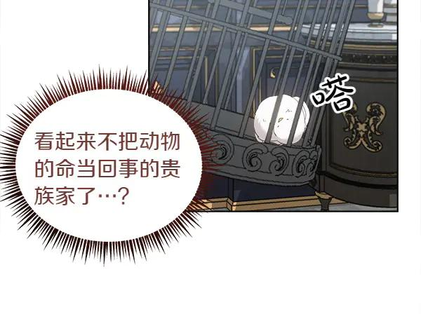 第4话 留下那只鸟 第38页