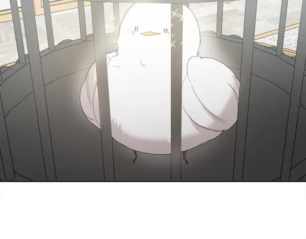 第4话 留下那只鸟 第75页