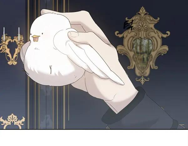 第4话 留下那只鸟 第126页