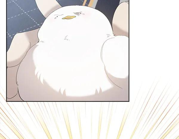 第4话 留下那只鸟 第132页