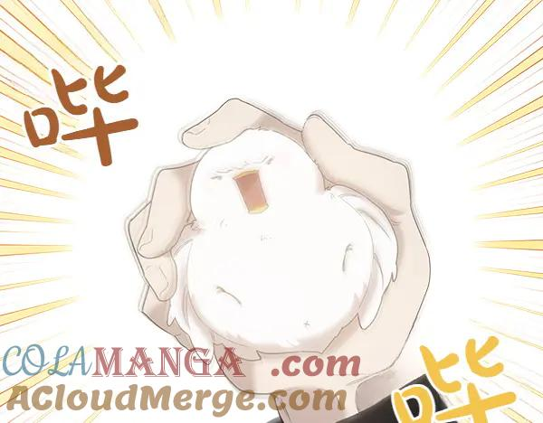 第4话 留下那只鸟 第133页