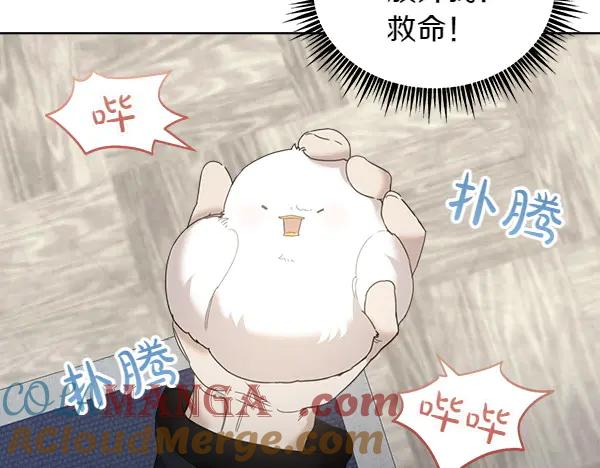 第5话 不一样的宠物 第7页