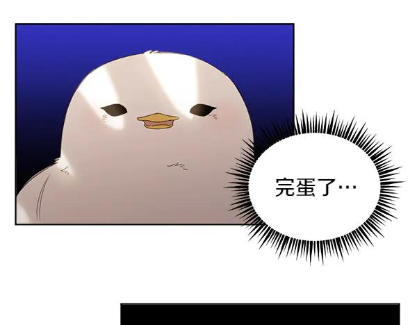 第5话 不一样的宠物 第12页