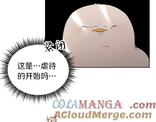 第5话 不一样的宠物 第13页