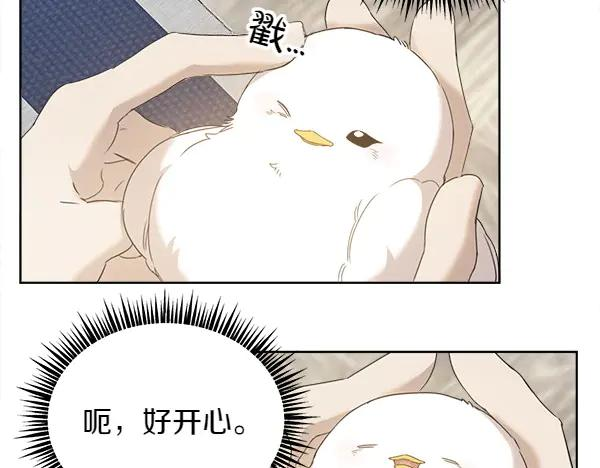 第5话 不一样的宠物 第21页