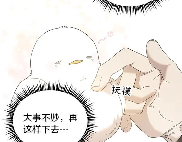 第5话 不一样的宠物 第26页
