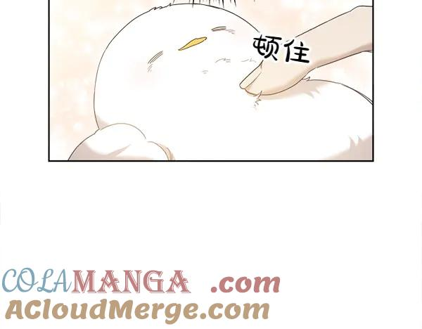 第5话 不一样的宠物 第28页